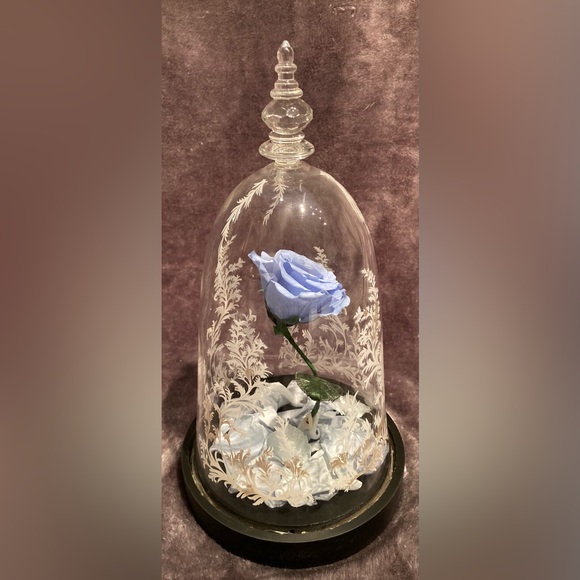 Real Preserved Blue Rose with LED Lights in Decorative Etched Glass Dome - Picture 6 of 9